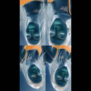 20 year old Indian Escort in Kolkata Kiara, TS escort