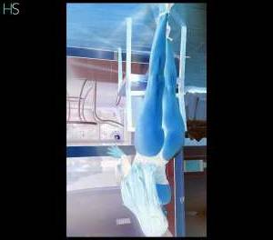 24Yrs Old Escort Medway Image - 1