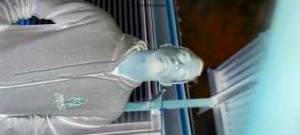 Billy B, Male escort in Port of Spain
