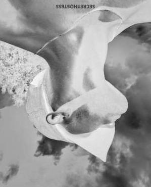 26Yrs Old Escort 169CM Tall Alexandria Image - 1