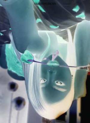 28Yrs Old Escort 168CM Tall Kuala Lumpur Image - 1