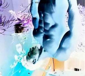 Masoud, Male escort in Tehran