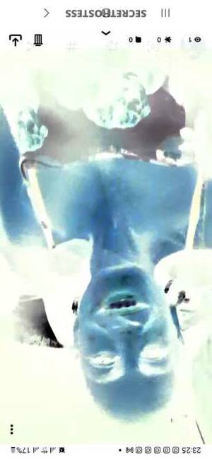 36Yrs Old Escort Size 8 164CM Tall Manchester Image - 1