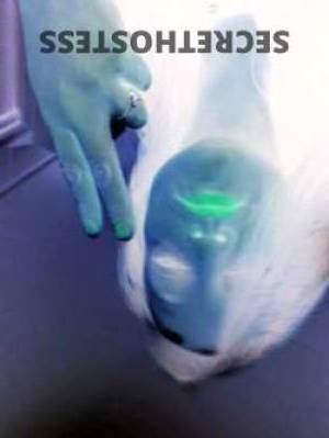 37 year old Escort in Cannon Hill Brisbane tidy temptress returns