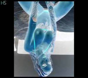 Amber 24Yrs Old Escort Newcastle upon Tyne Image - 2