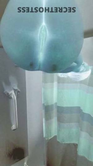 Ashley 24Yrs Old Escort Columbus OH Image - 1
