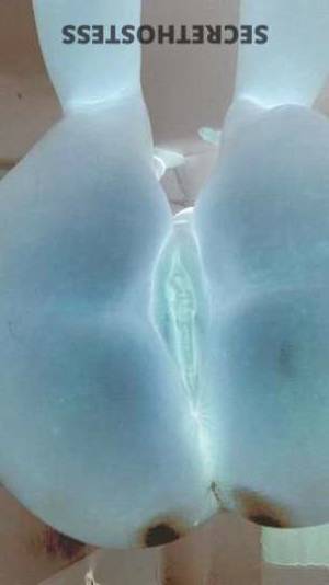 Ashley 24Yrs Old Escort Columbus OH Image - 5