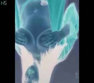 28 year old Latino Escort in Bubu big boobs