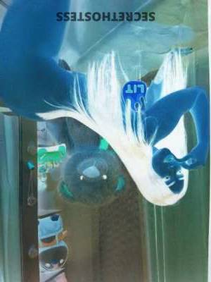 Mia 22Yrs Old Escort Raleigh-Durham NC Image - 1