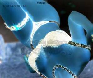 0 year old Portuguese Escort in Porto Erotic Massage