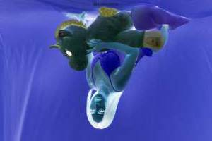 Yvone 28Yrs Old Escort 165CM Tall Kuala Lumpur Image - 11