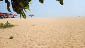 36Yrs Old Escort 170CM Tall Weligama Image - 2