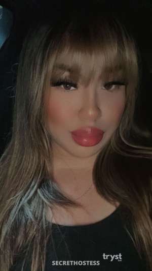 20Yrs Old Escort 168CM Tall Houston TX Image - 2