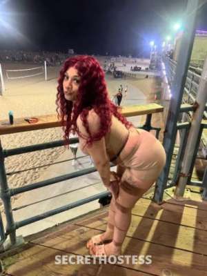 22 year old American Escort in San Fernando Valley CA Outcalls Carplay I m available right now in the Los Angeles 