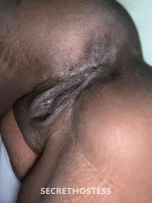 27Yrs Old Escort Sarasota FL Image - 2