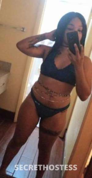 Madison 26Yrs Old Escort Washington DC Image - 2