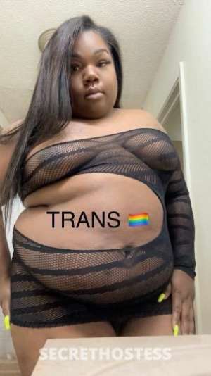 24Yrs Old Escort Southwest Mississippi MS Image - 1