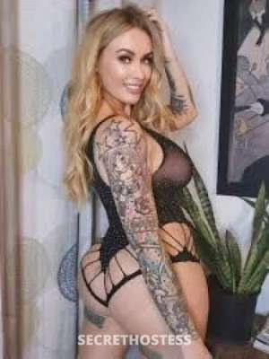 33Yrs Old Escort 98KG 67CM Tall Houston TX Image - 3