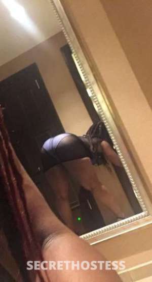 33 year old Escort in Manhattan NY fulfill all your fantasies