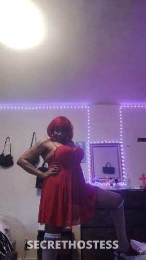 44Yrs Old Escort Westchester NY Image - 1