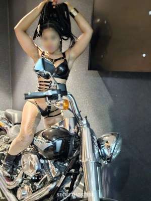 Ella 32Yrs Old Escort 55KG 165CM Tall Perth Image - 4