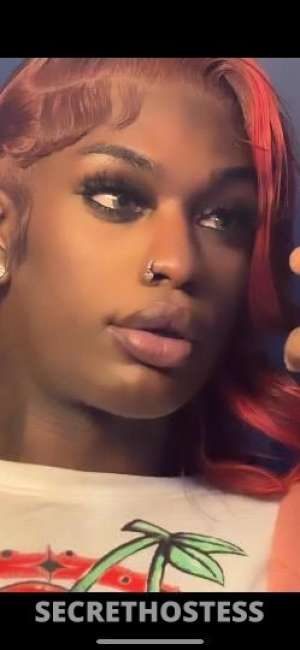 22 year old Asian Escort in Chicago IL Lyons TheeBubbleMoufBratt Is Here Who Need A Throat Hug