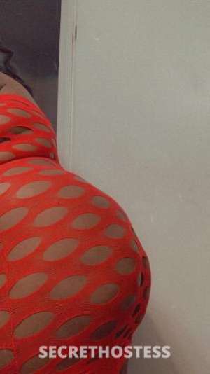 24Yrs Old Escort Tampa FL Image - 3