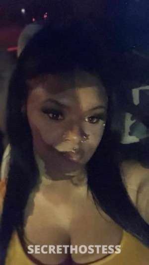 25Yrs Old Escort Louisville KY Image - 2