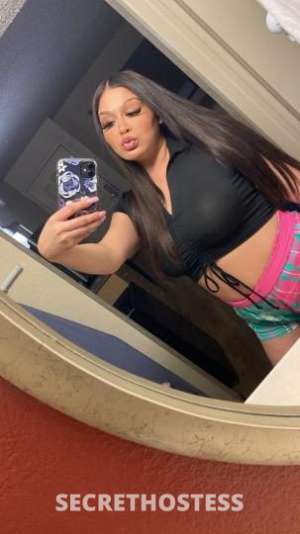 28 year old Escort in San Mateo CA ??SMOKiiN HOT ?? SEXXXY LATiiNA FREAK