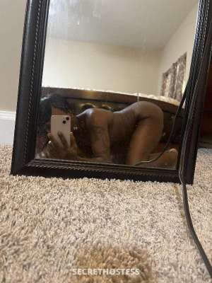 37 year old Escort in Rochester NY Personal Amusement Park 101