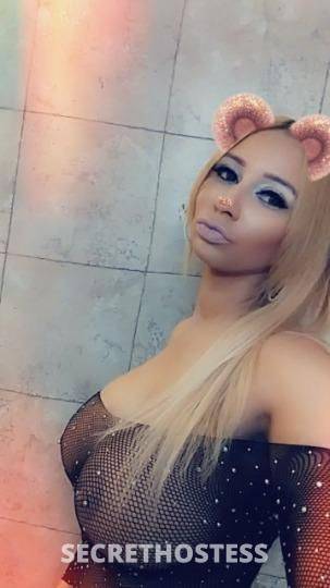 28Yrs Old Escort Fort Lauderdale FL Image - 0