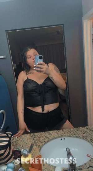 Nicki 26Yrs Old Escort Tampa FL Image - 1