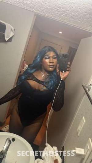 JasminStarr 23Yrs Old Escort Mendocino CA Image - 1