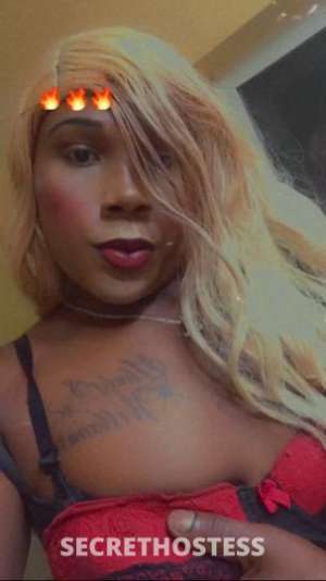 JasminStarr 23Yrs Old Escort Mendocino CA Image - 7