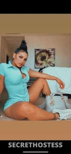 21 year old Latino Escort in Miami FL New in town