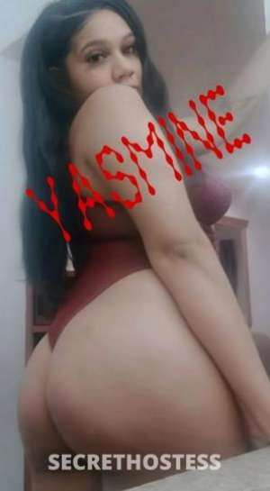 Yasmine 26Yrs Old Escort 162CM Tall Oakland CA Image - 4