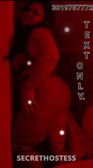 28 year old Escort in Southern Maryland DC ???available now babe ttyl text only no calls ??incalls only