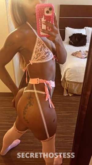 Amiri 25Yrs Old Escort Saint Louis MO Image - 1