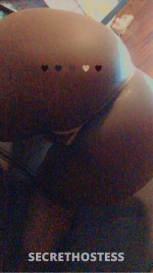Kandi 27Yrs Old Escort Cincinnati OH Image - 3