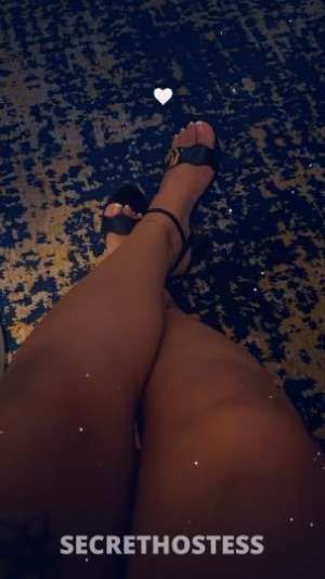 Renee 25Yrs Old Escort South Jersey NJ Image - 5