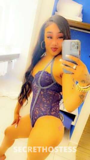 31 year old Puerto Rican Escort in Bradenton FL Puerto rican BombShell island ? Dream girl