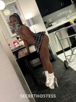 Star 22Yrs Old Escort Washington DC Image - 3
