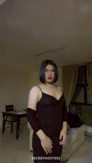 25 year old Asian Escort in Al Manama Kitty, Transsexual escort