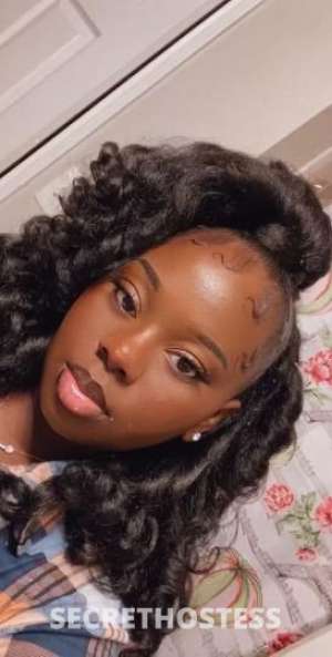 23 year old Escort in Houston TX ROSE 23Yrs Old Escort Houston TX