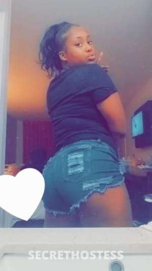 25 year old Escort in Dallas TX New to town