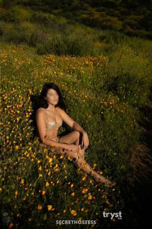 29Yrs Old Escort 178CM Tall San Diego CA Image - 3
