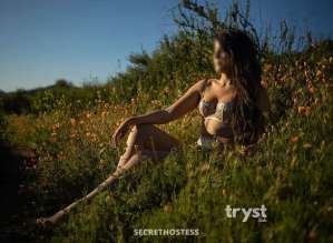 29Yrs Old Escort 178CM Tall San Diego CA Image - 7