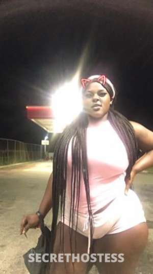 28 year old Escort in Miami FL Mz deepthroat headhunter