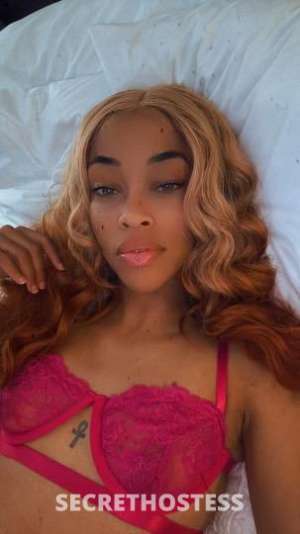 22 year old Egyptian Escort in Sacramento CA Milani the Egyptian Seductress