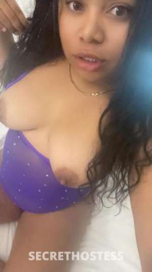 25 year old Latino Escort in West Palm Beach FL sexy latina caliente pussy hot